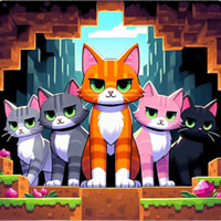 coolCats